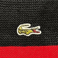 画像6: 「LACOSTE(ラコステ)」ブート？ Lサイズ マルチボーダー アクリルウール クルーネック ニット セーター (6)